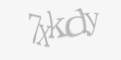 Защитный код
