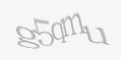 Защитный код